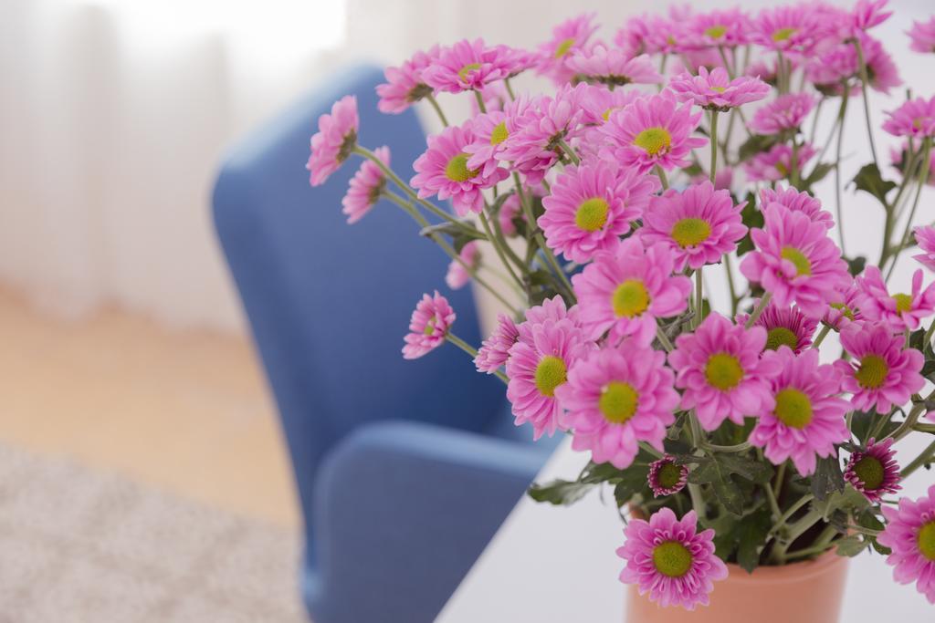 Check In Tlv Apartment เทลอาวีฟ ห้อง รูปภาพ